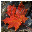 Animated Happy Thanksgiving Screensaver icon