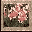 Ws-0005d icon