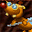 Treasure Mole. Winter Vacation icon