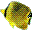Moving Butterflyfish Wallpaper icon