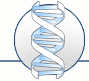 NetSupport DNA icon