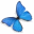 Magic Screenshot icon