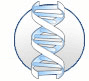 NetSupport DNA Enterprise Management icon