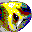 EnvisionAide icon