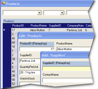 DataForms.Net Single Developer License icon