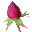 Advanced Woman Calendar icon