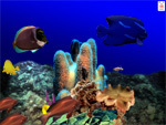 Aquatica 3D Screenshot