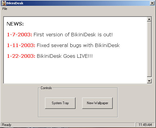 BikiniDesk Screenshot